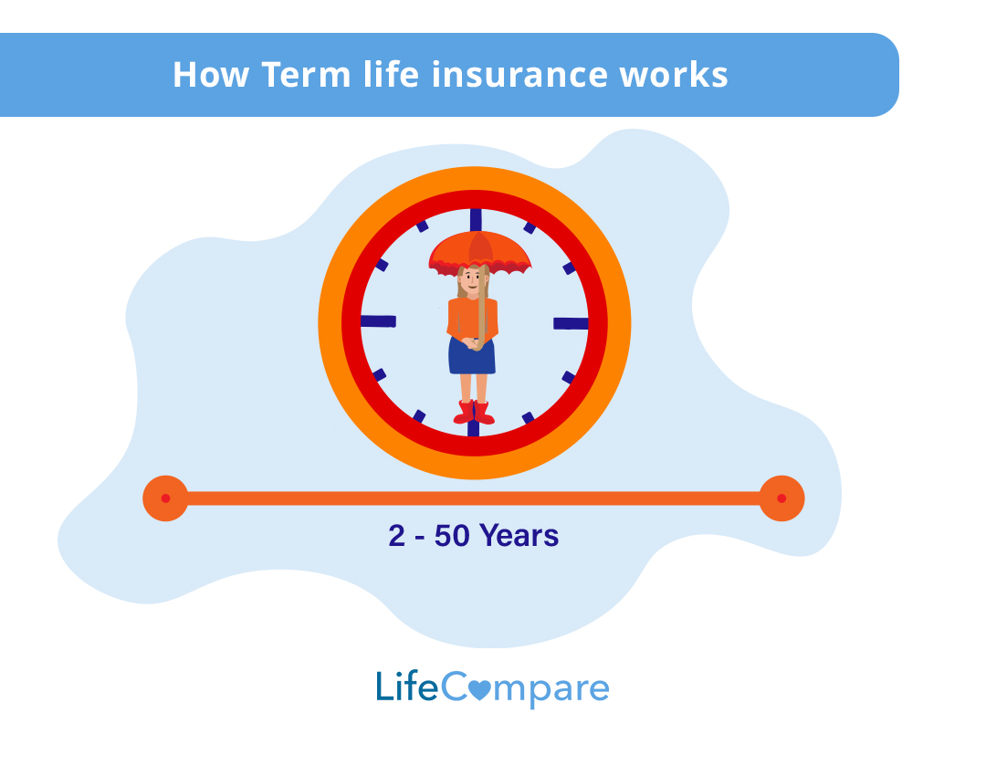 How does term life insurance work